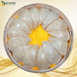 Yến sào định hình xuất khẩu cao cấp